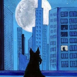 Meet your Posher, Janet